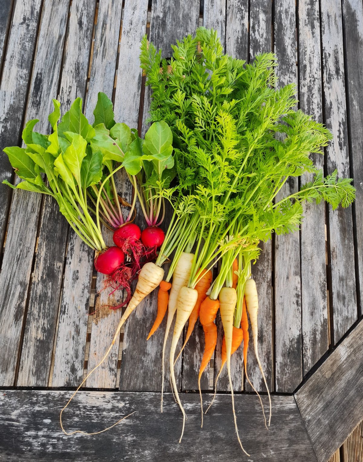 raw food santé bien etre raw food santé bien etre